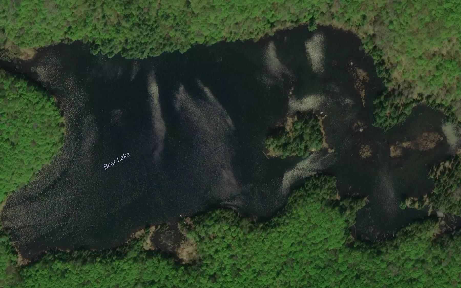 Satellite map of the Bear Lake