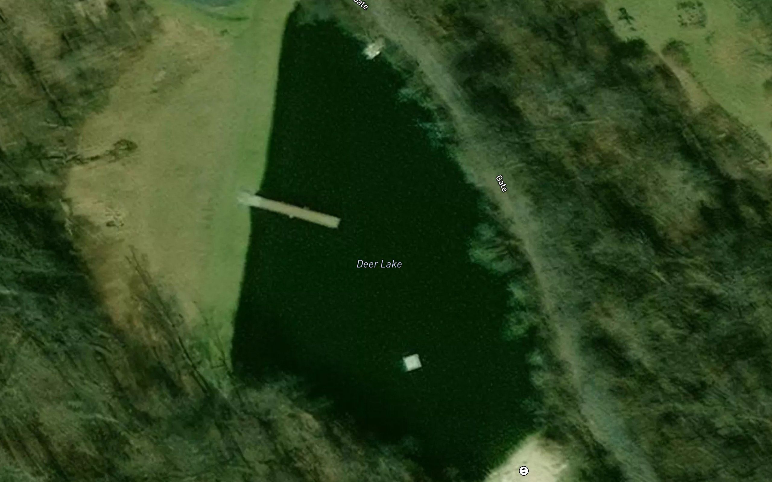 Deer Lake