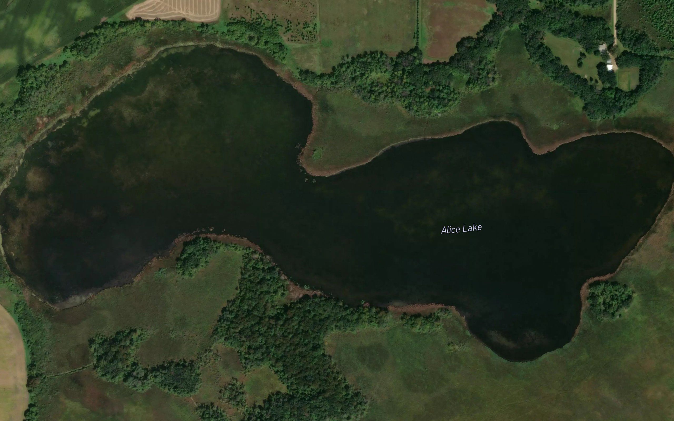 Alice Lake