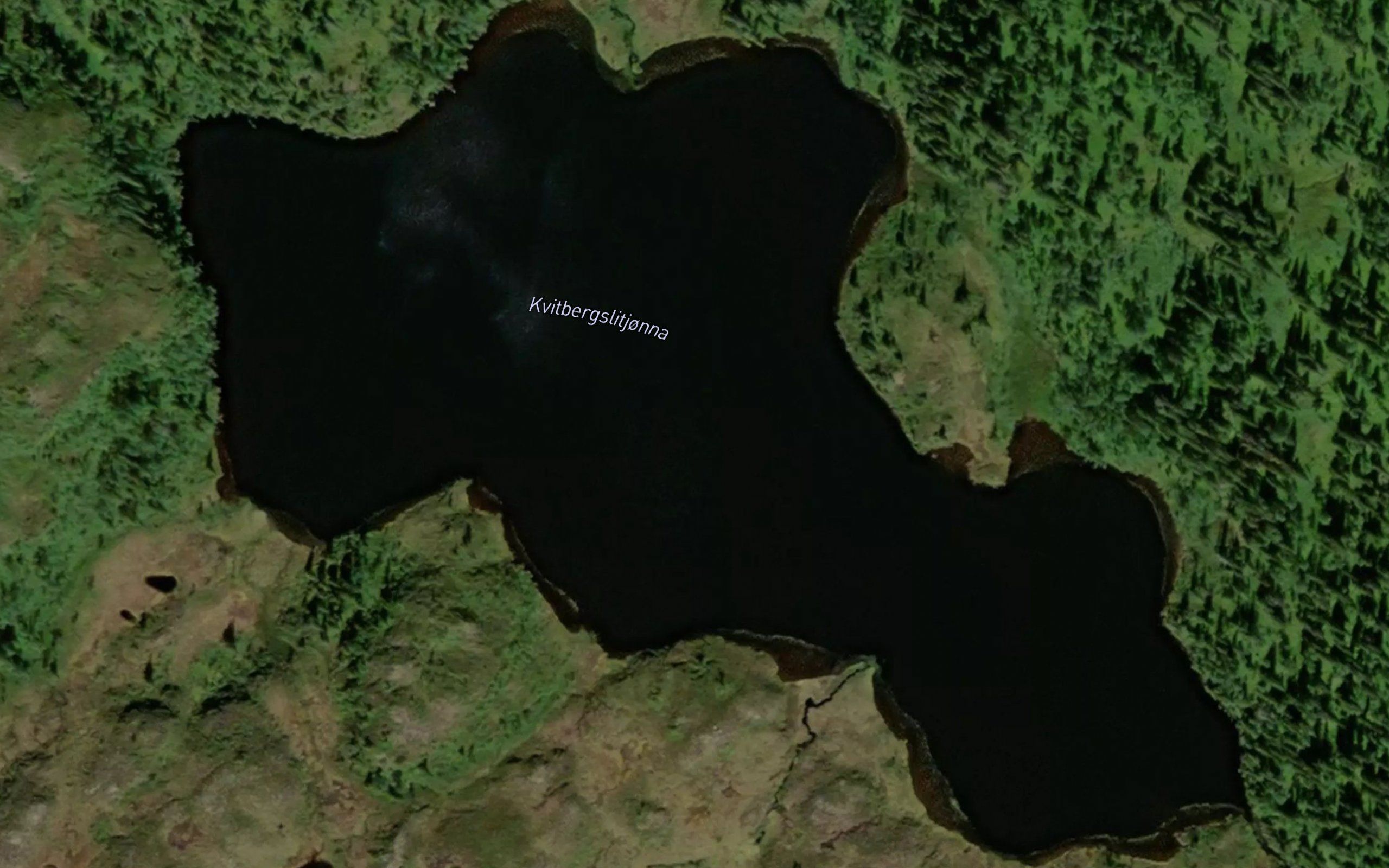 Kvitbergslitjorna