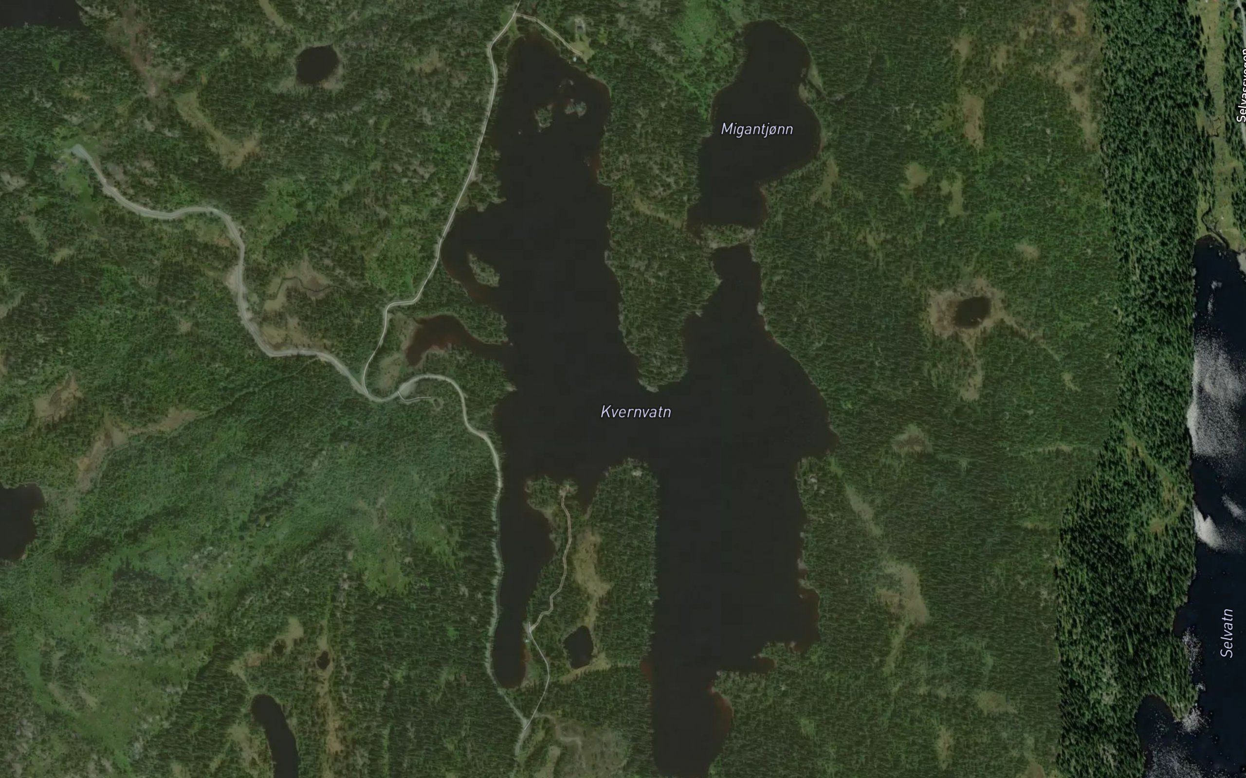 Kvernvatn