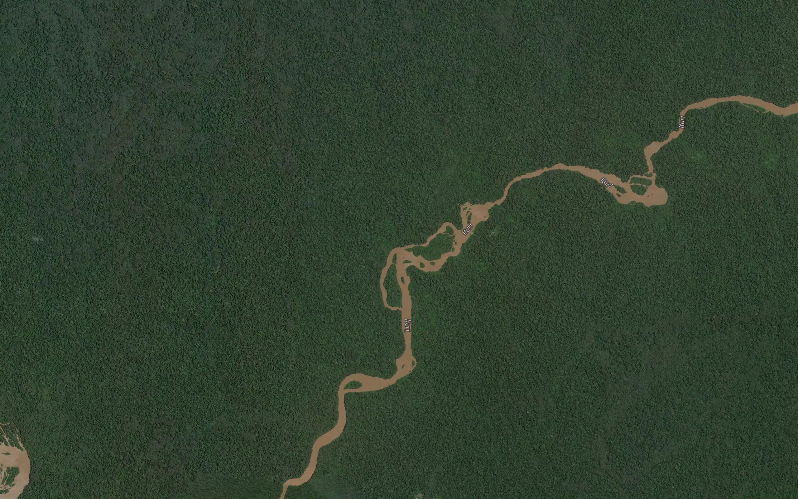 Elingu