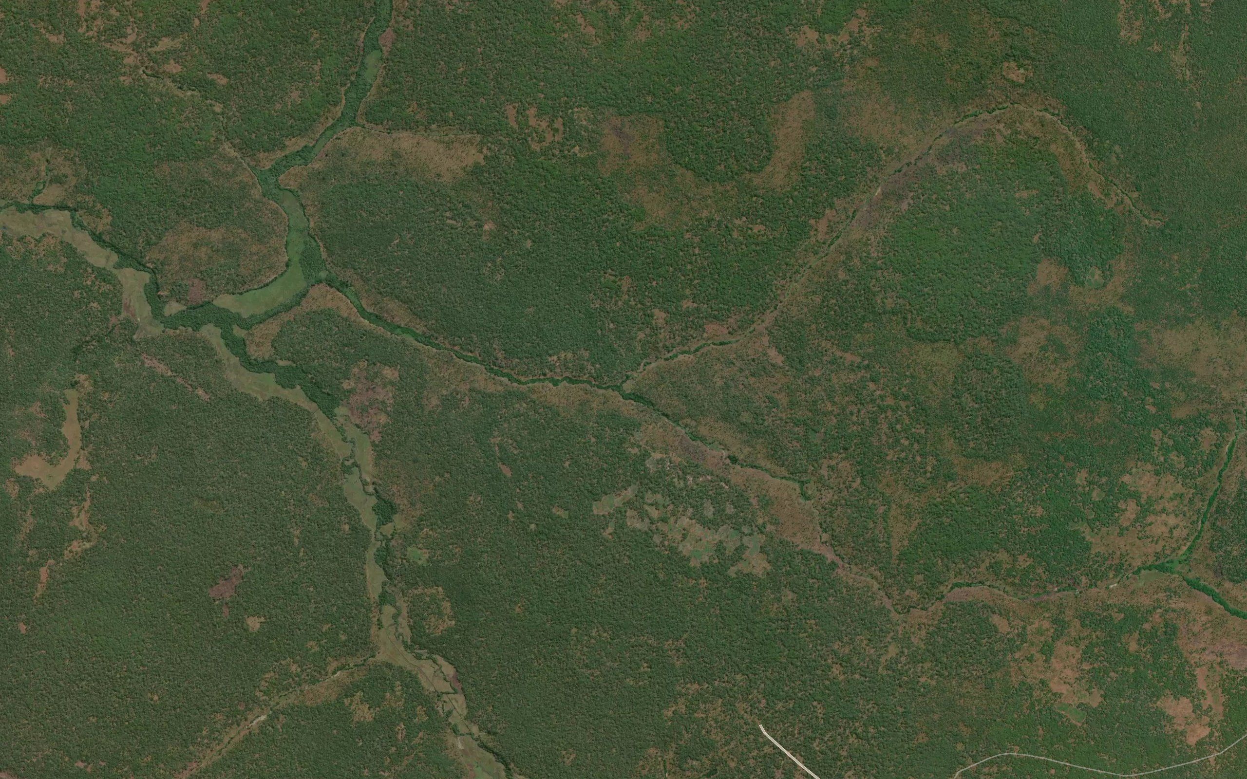 Kanipopa