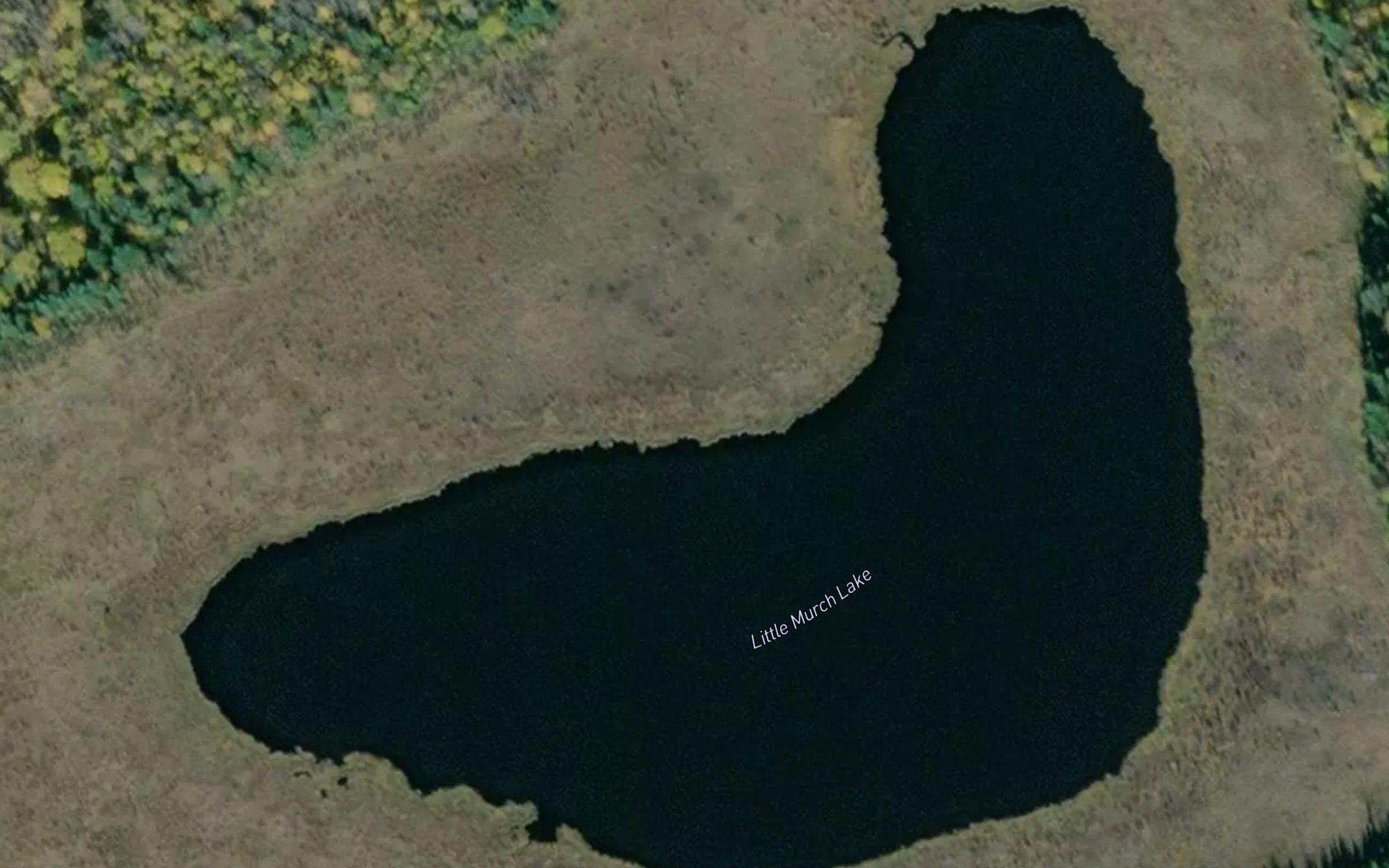 Little Murch Lake