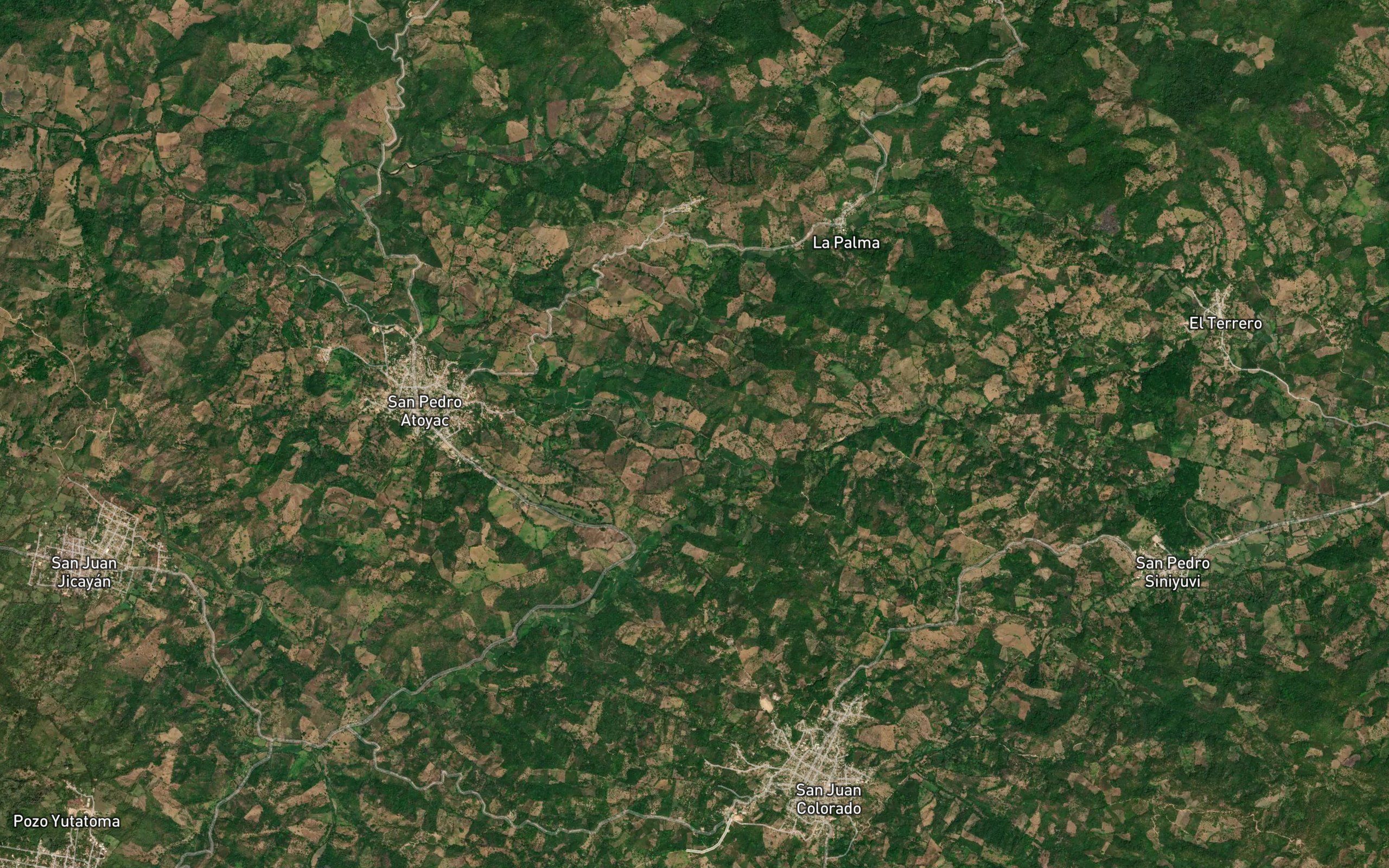 Hamacas