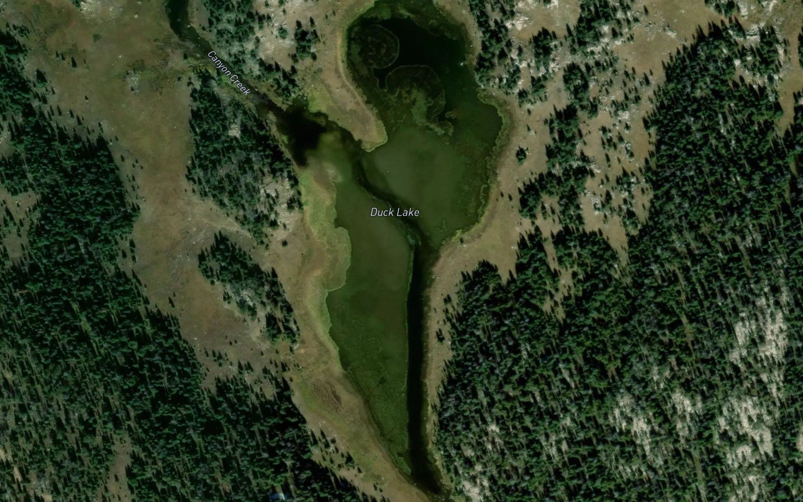 Duck Lake