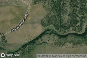 McCartney Springs