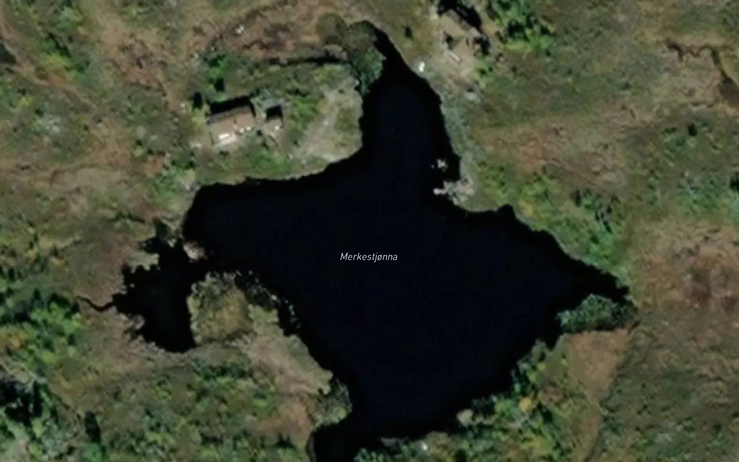 Merkestjonna