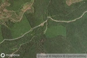 Old Field Branch
