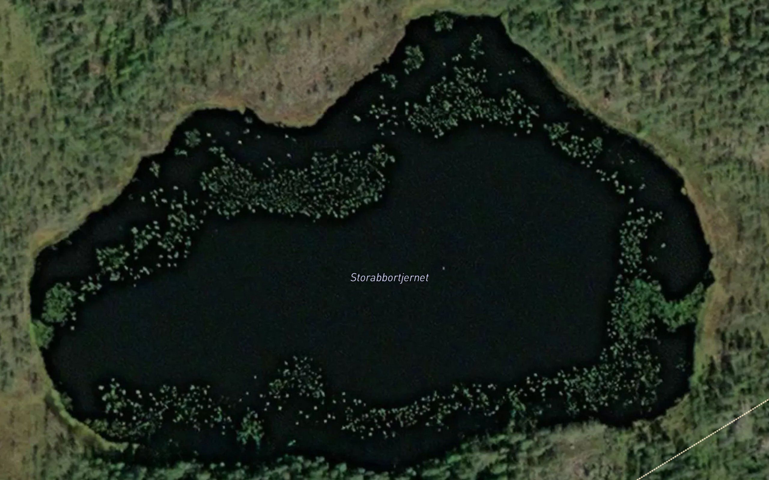 Storabbortjernet