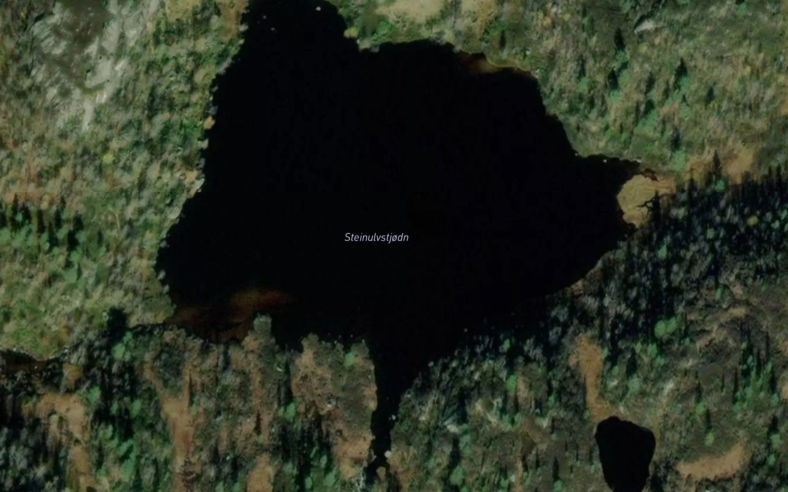 Steinulvstjodn