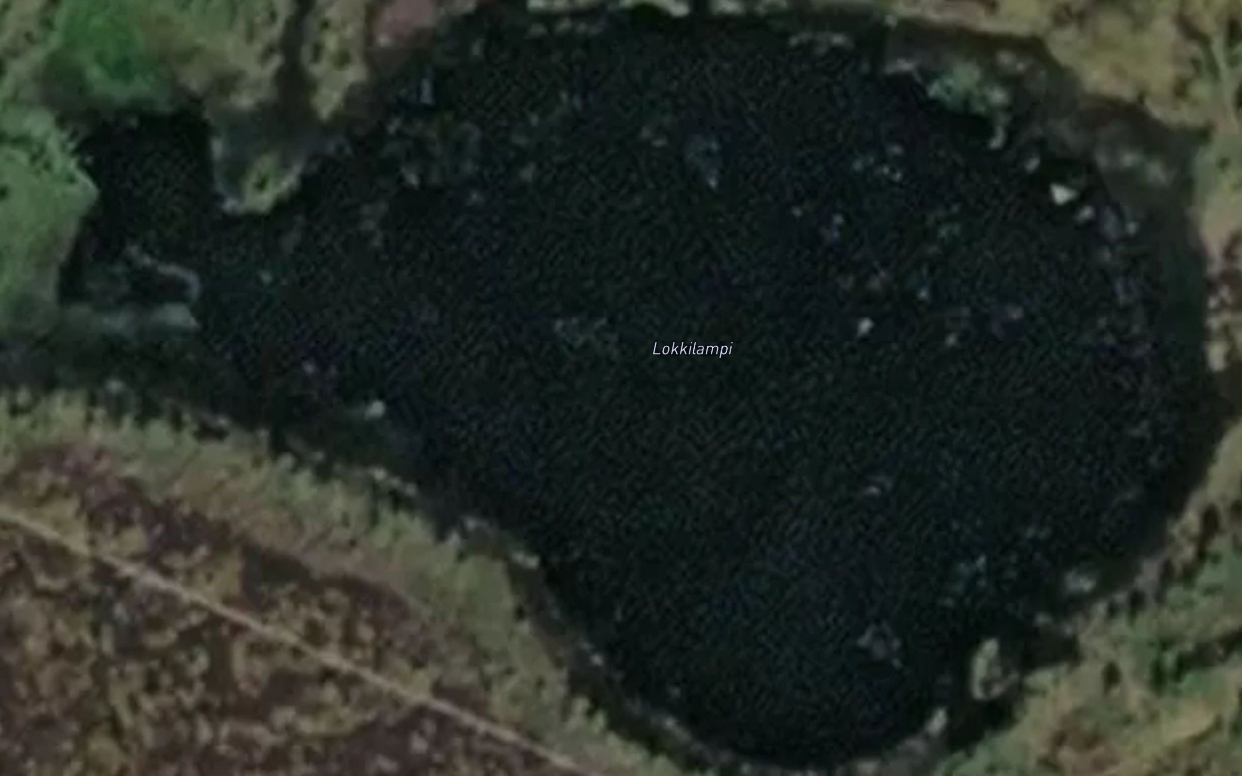 Lokkilampi