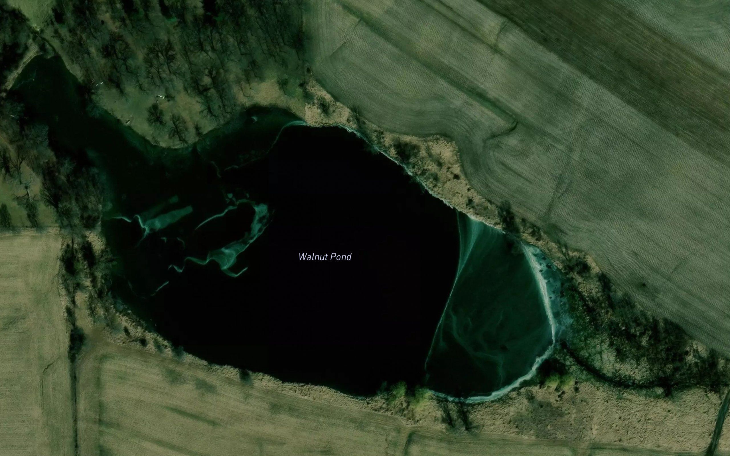 Walnut Pond