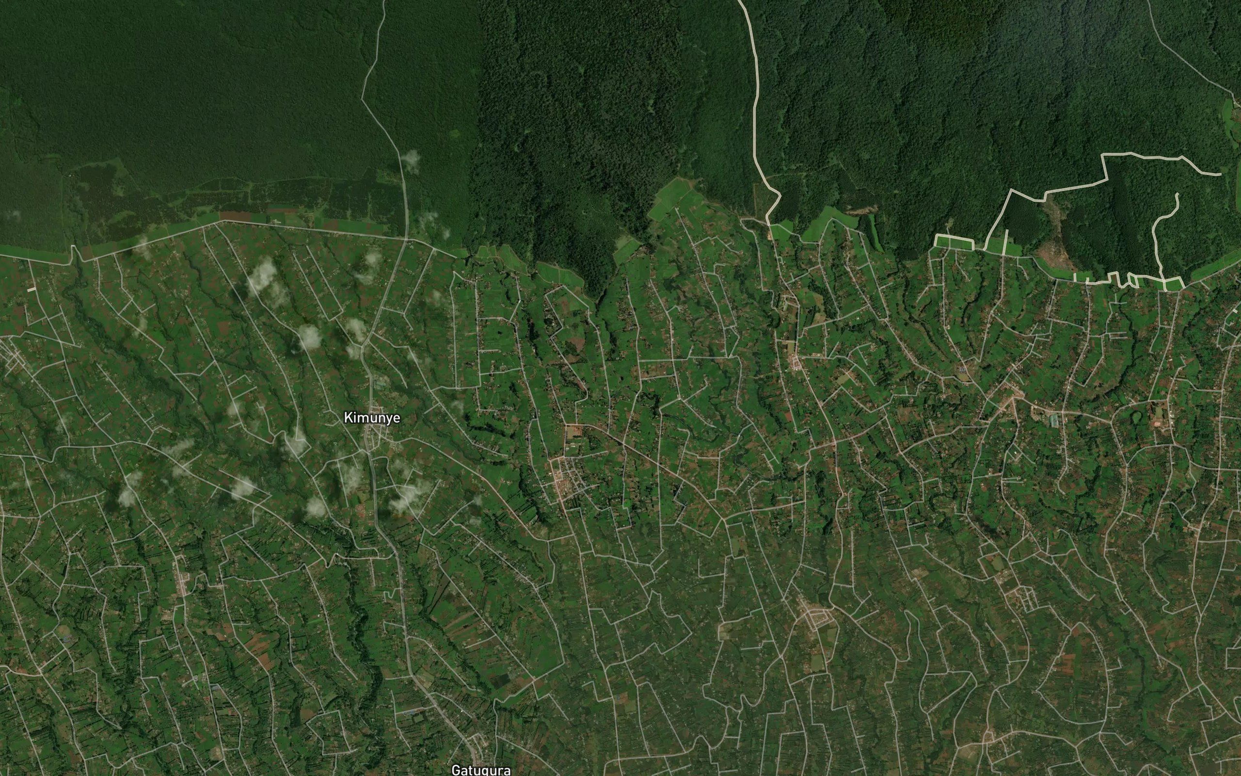 Karute