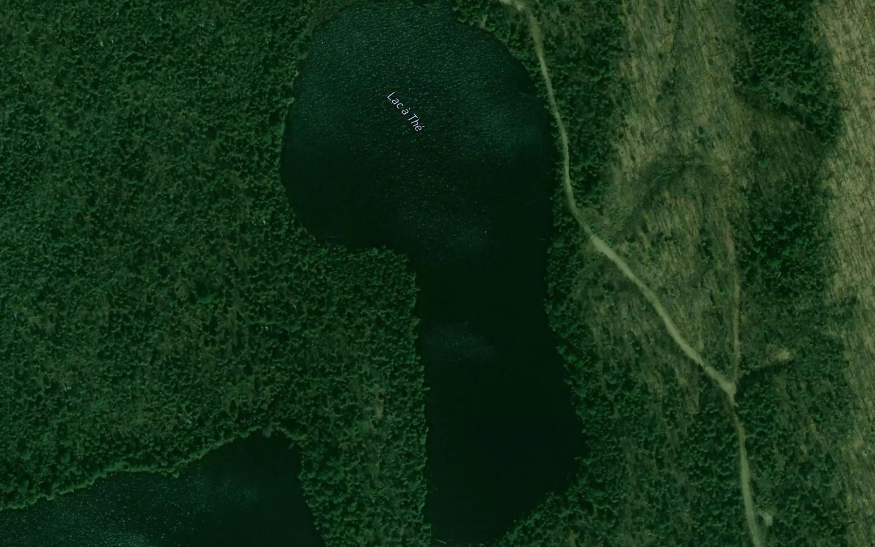 Satellite map of the Lac a The