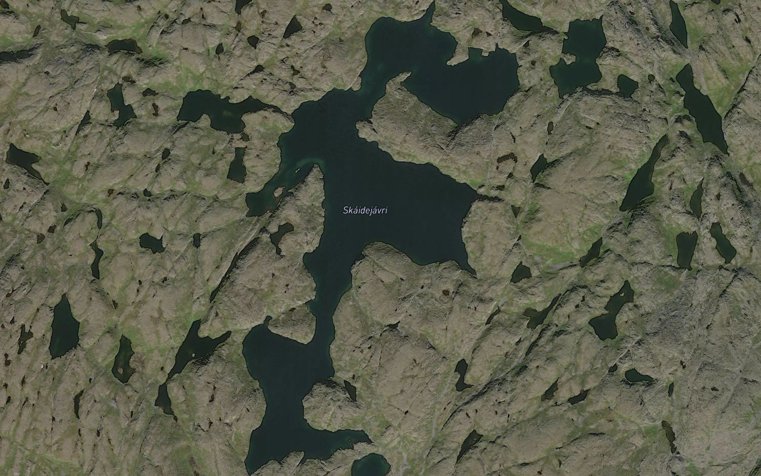 Skaidejavri