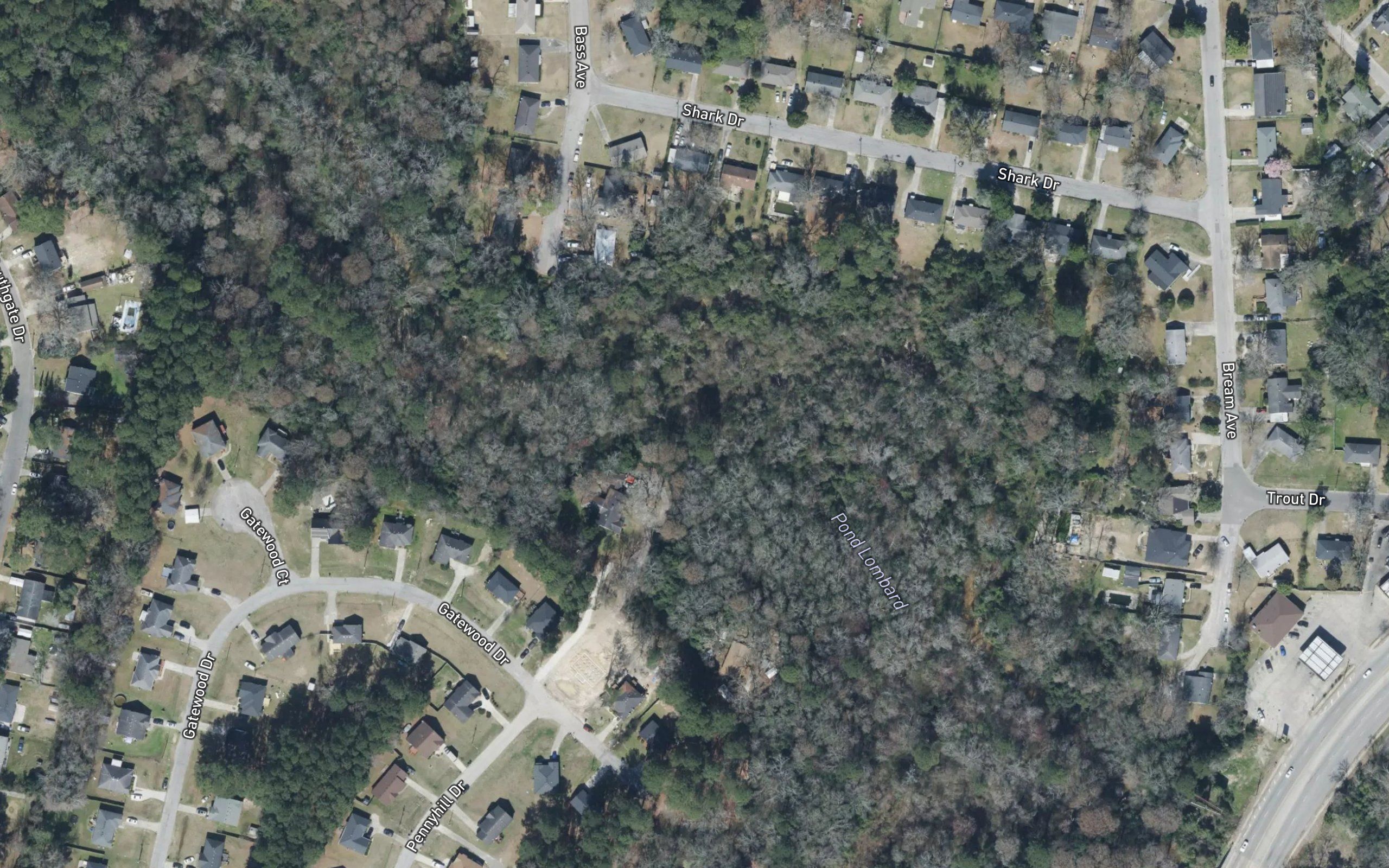 Lombard Pond