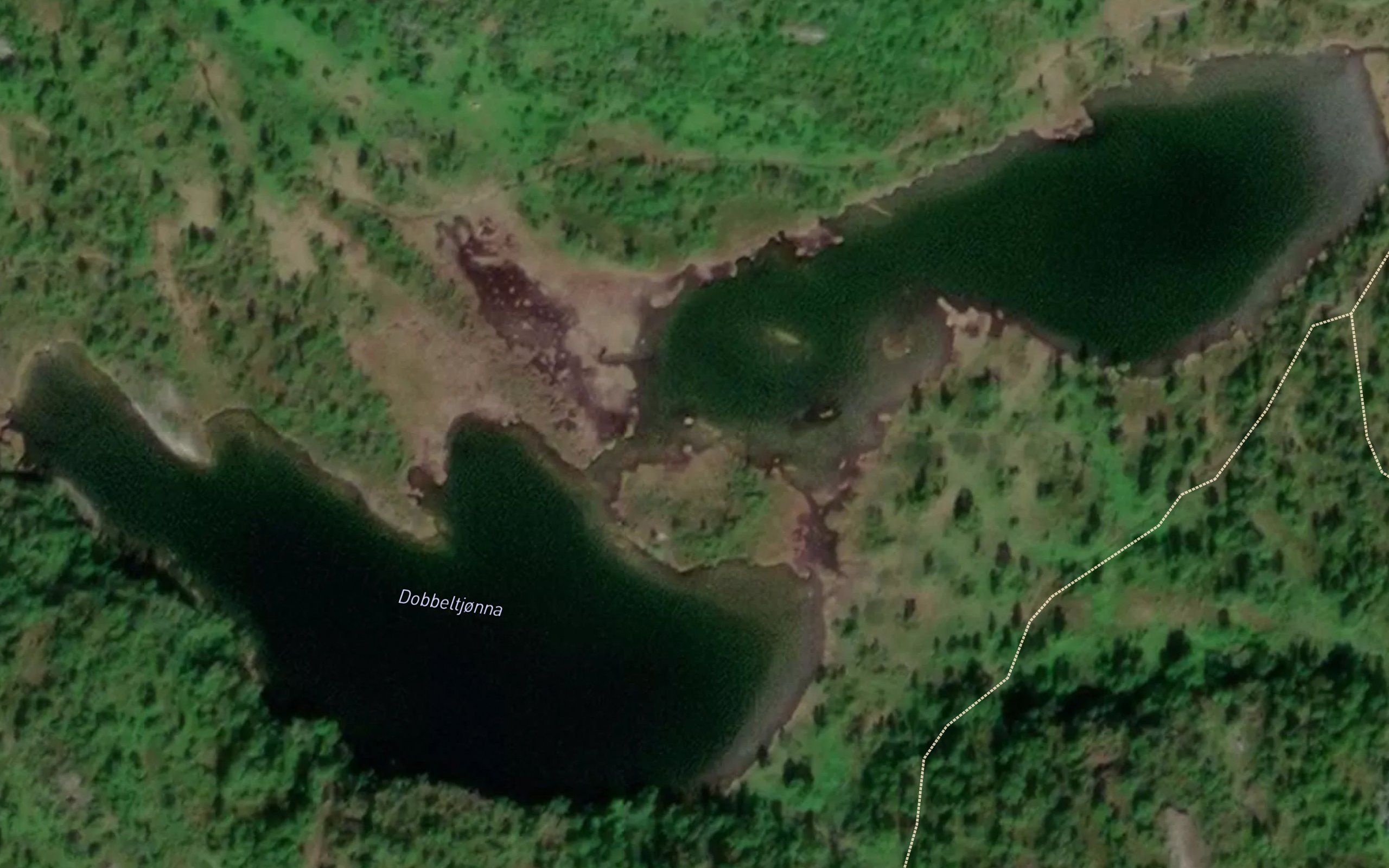 Dobbeltjonna