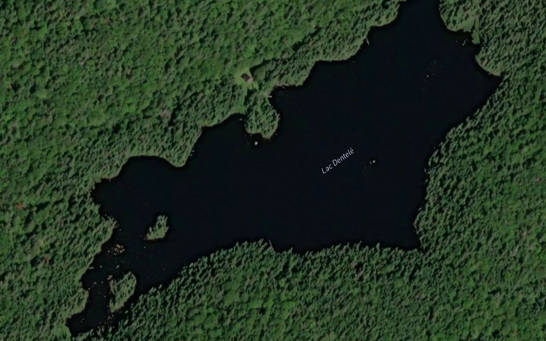 Satellite map of the Lac Dentele