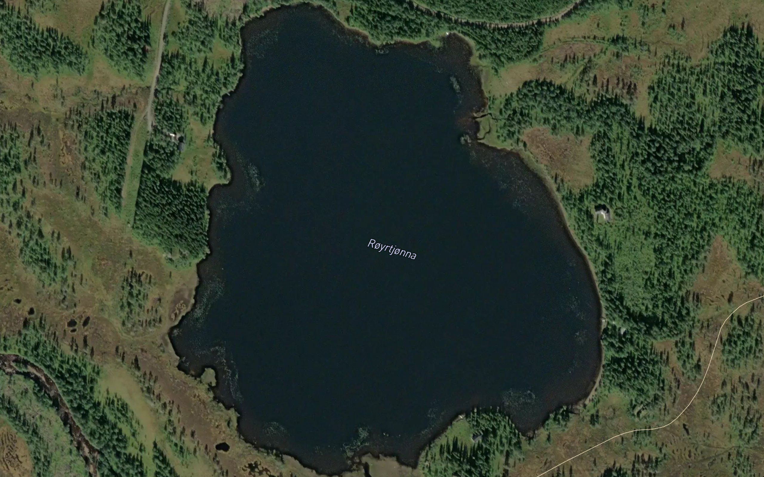 Royrtjorna