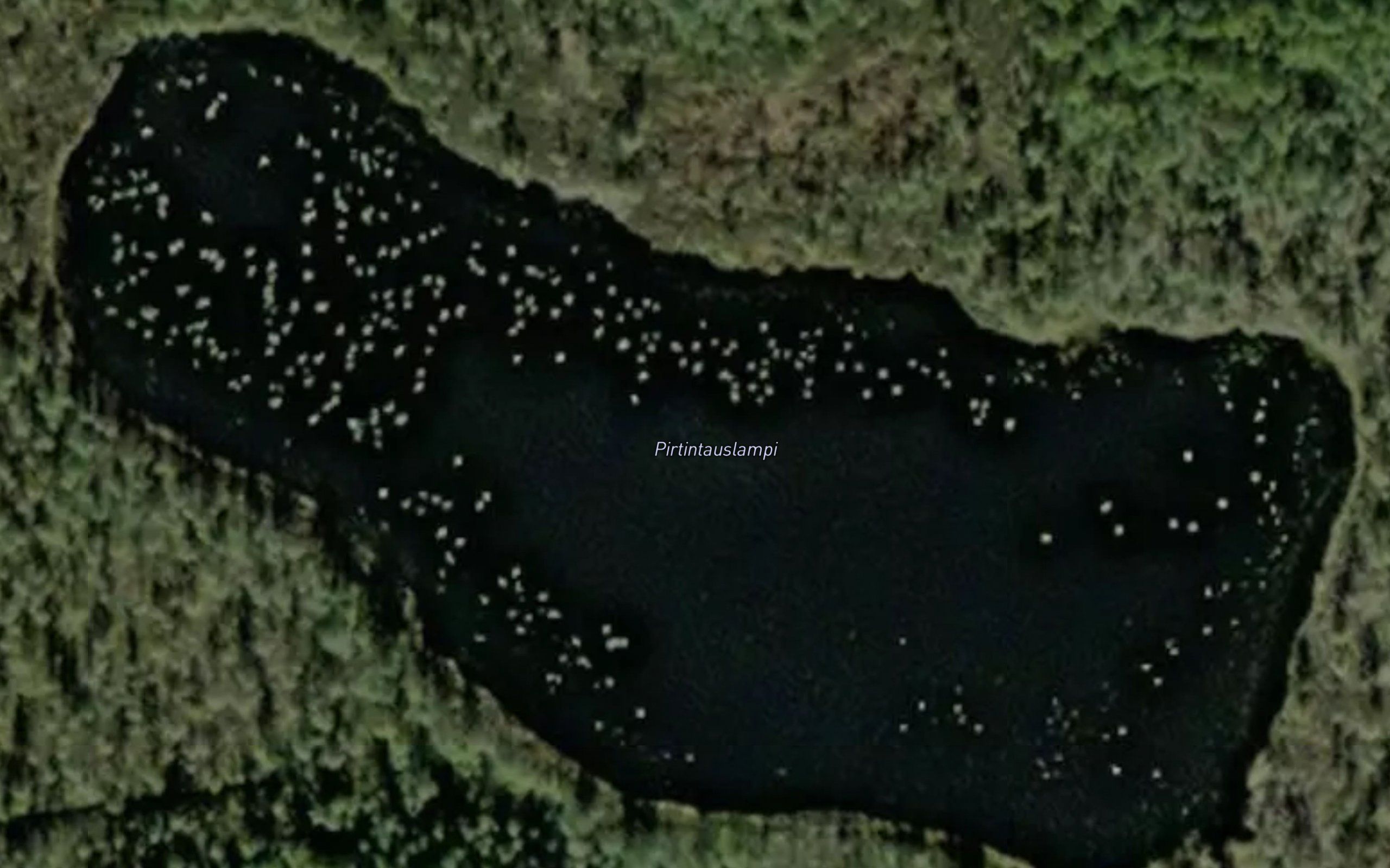 Pirtintauslampi