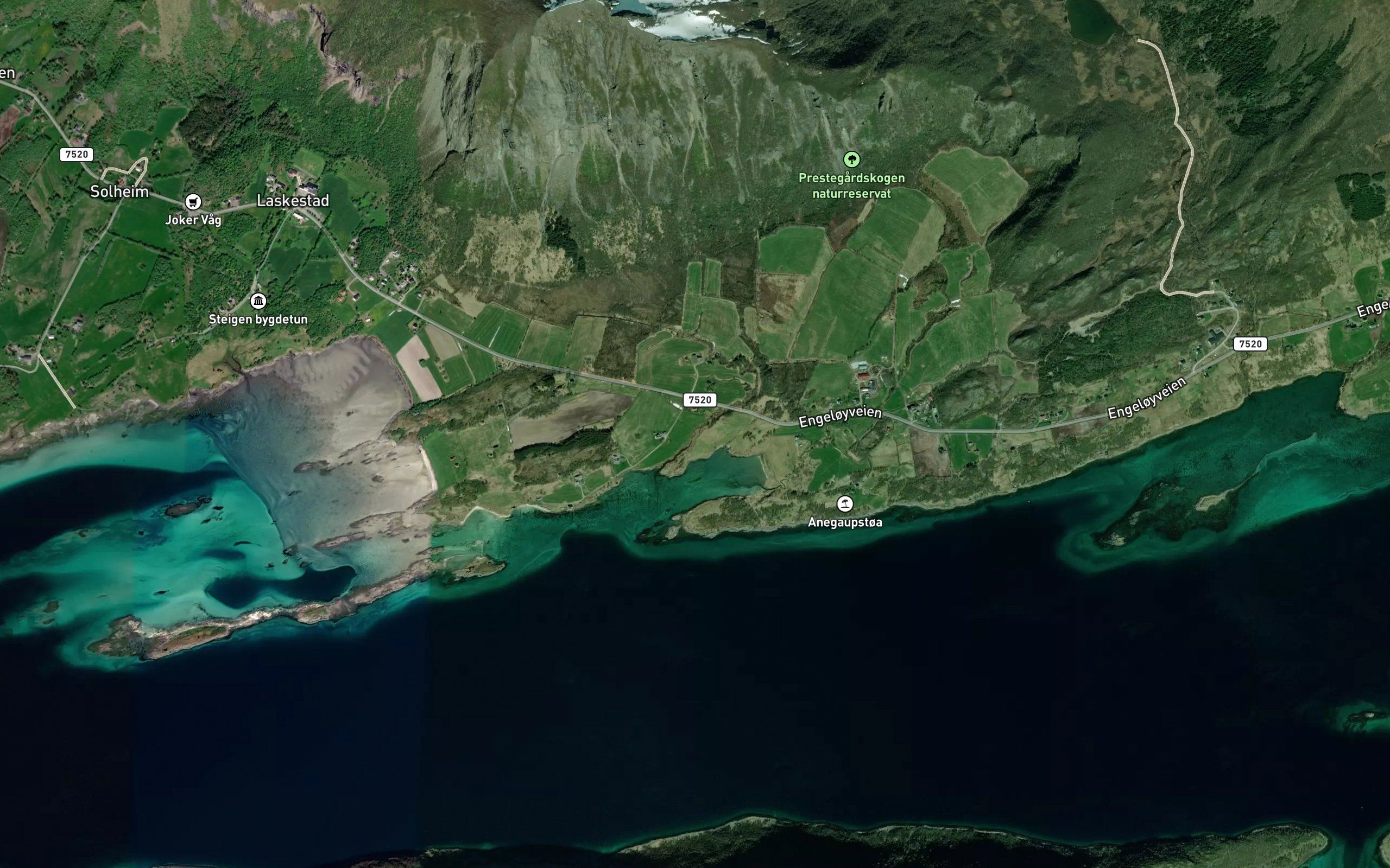 Sandvagelva