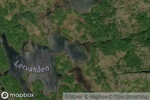 Lervahaen