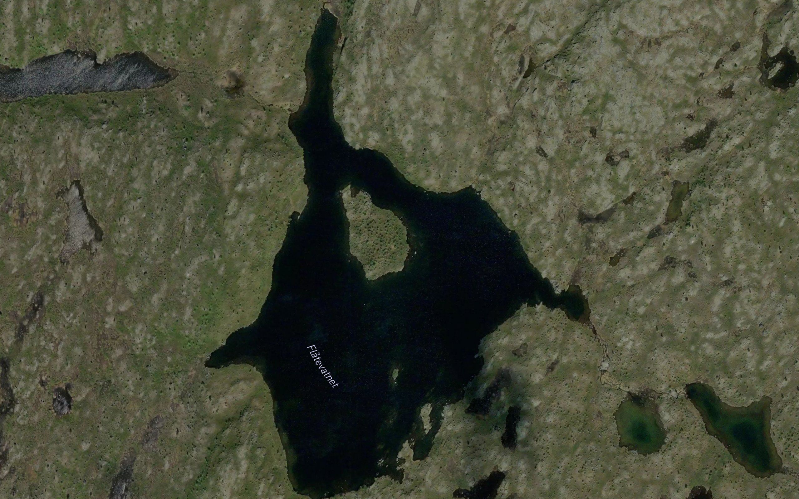 Skogvatnet