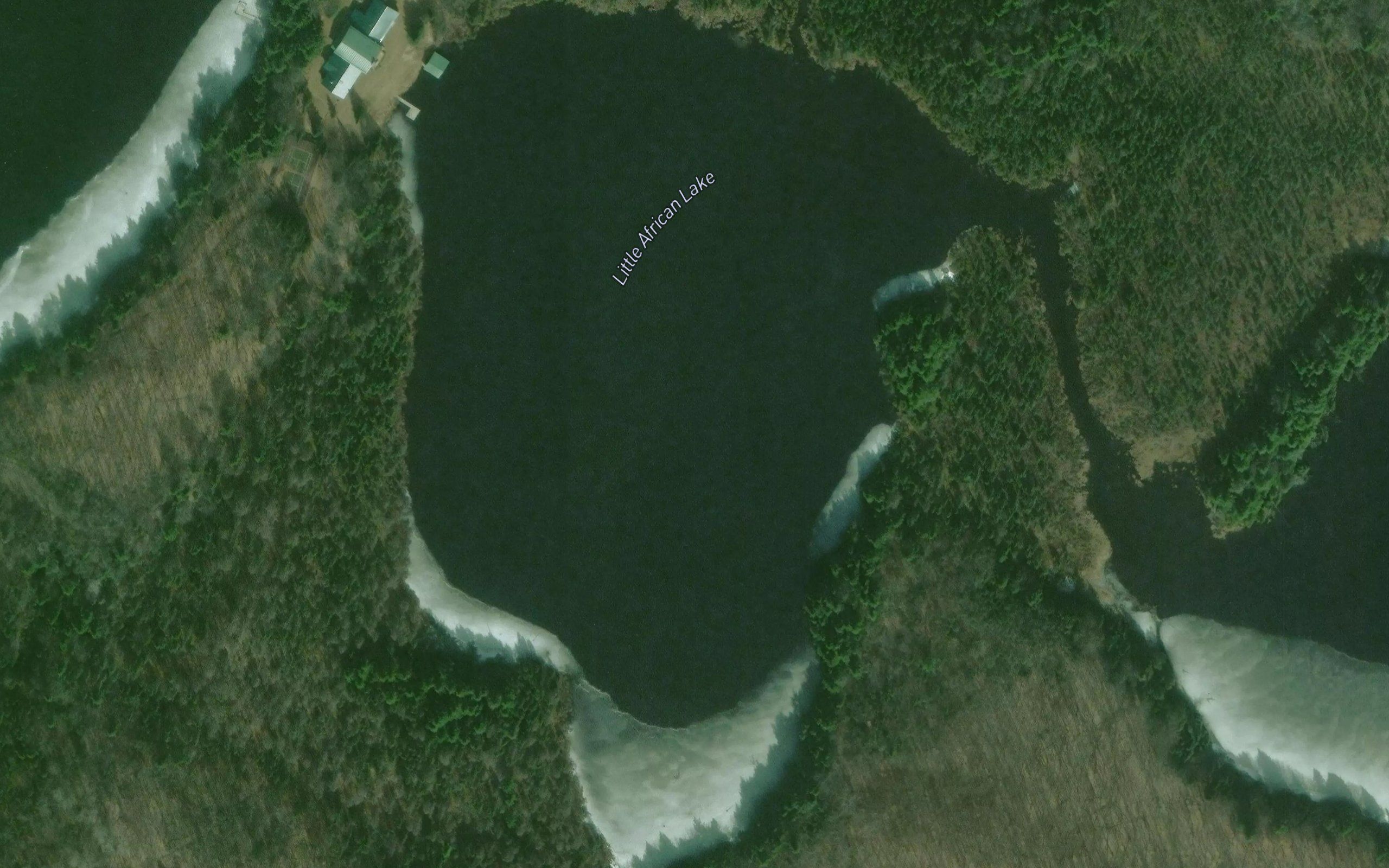 Little African Lake