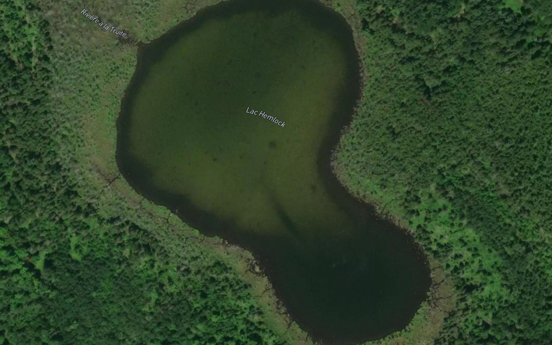 Satellite map of the Lac Hemlock