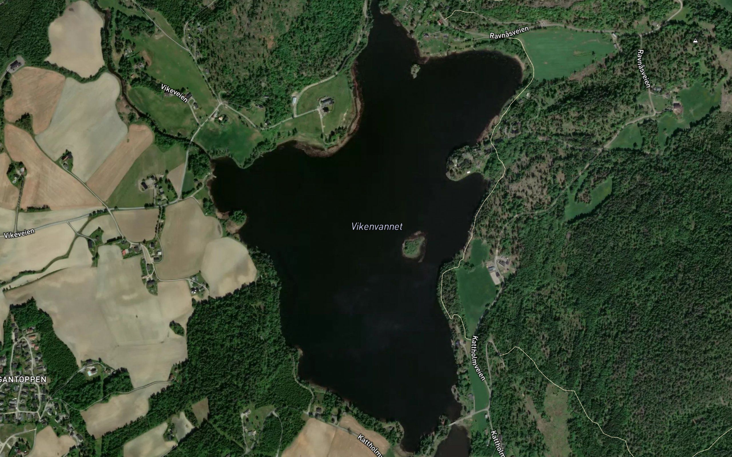 Vikevannet