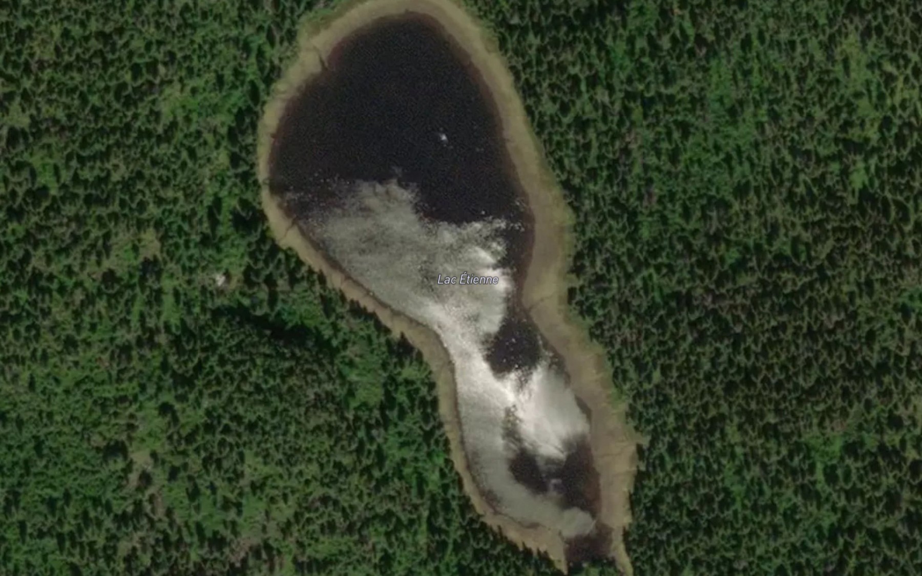 Satellite map of the Lac Etienne