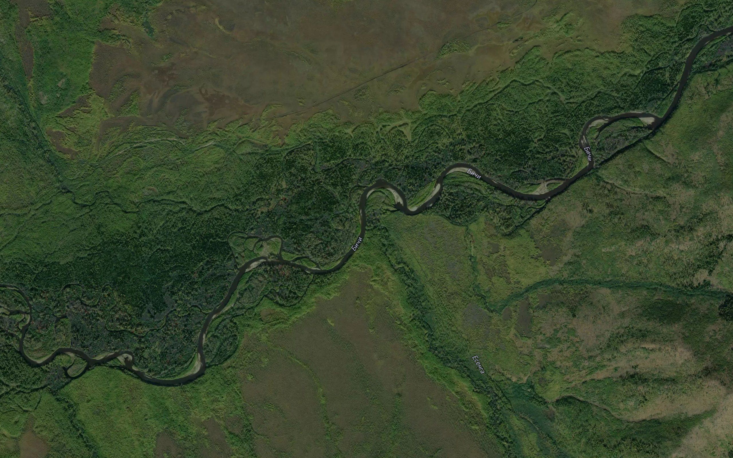 Yesenga