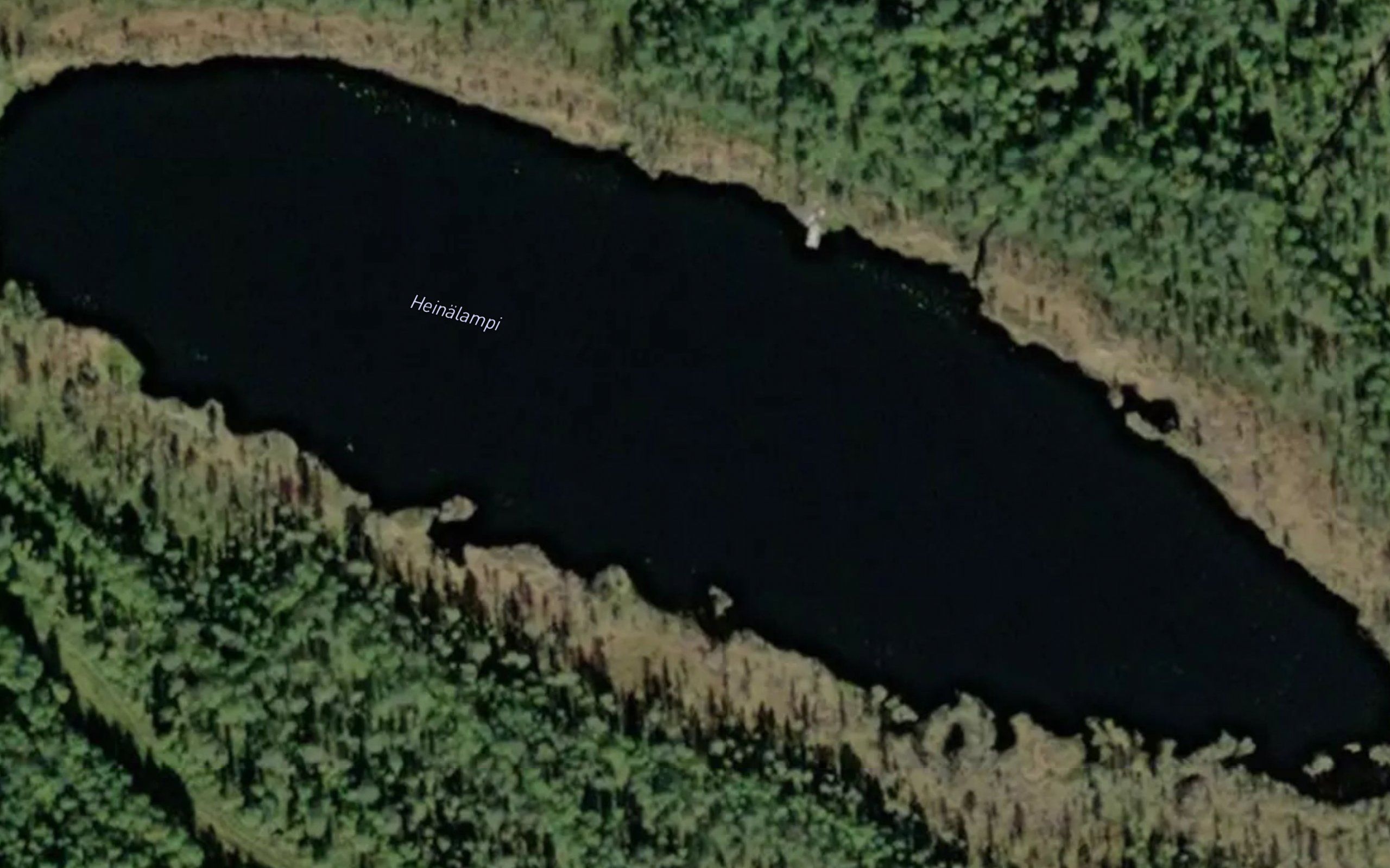 Heinalampi