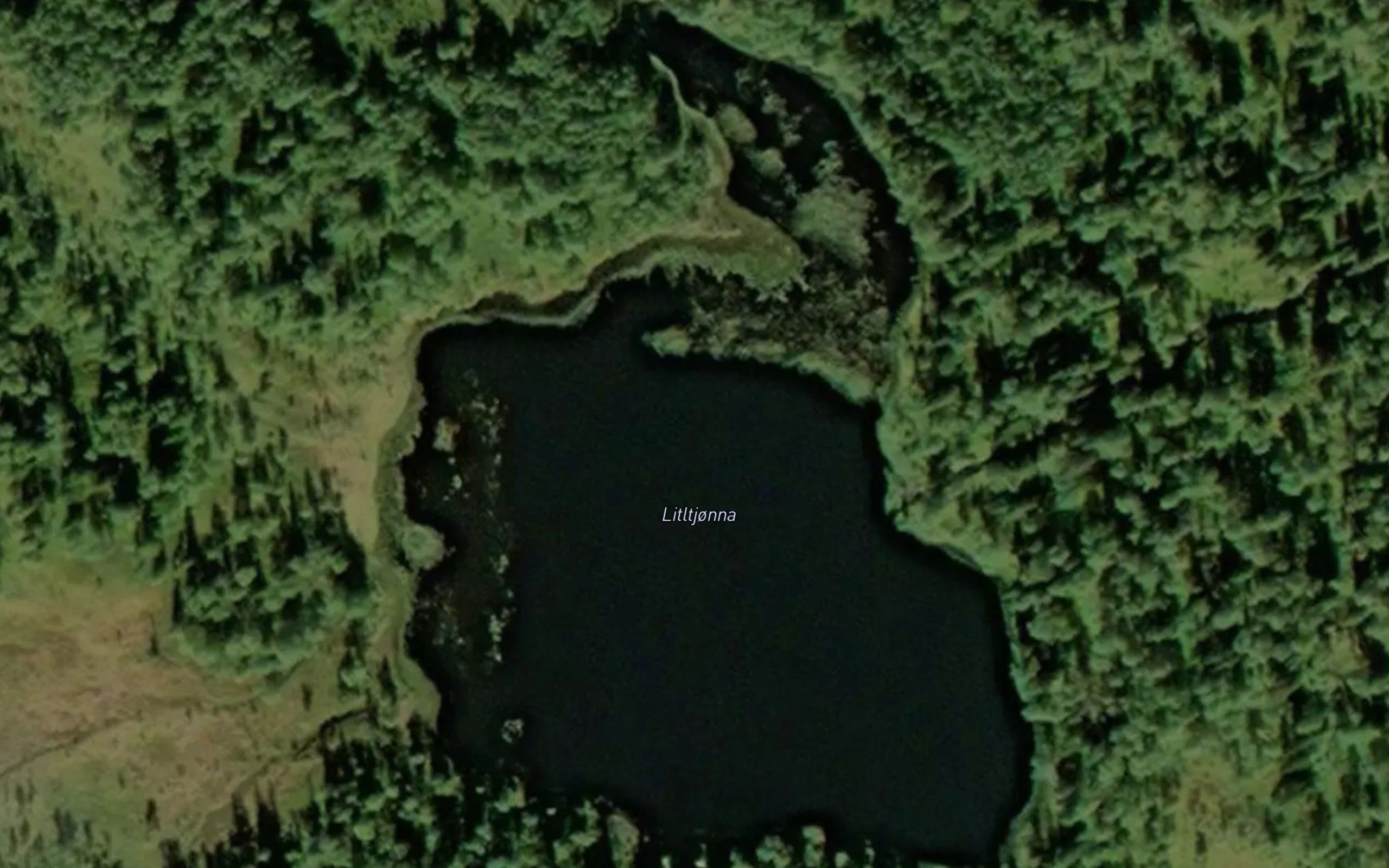 Litletjorna