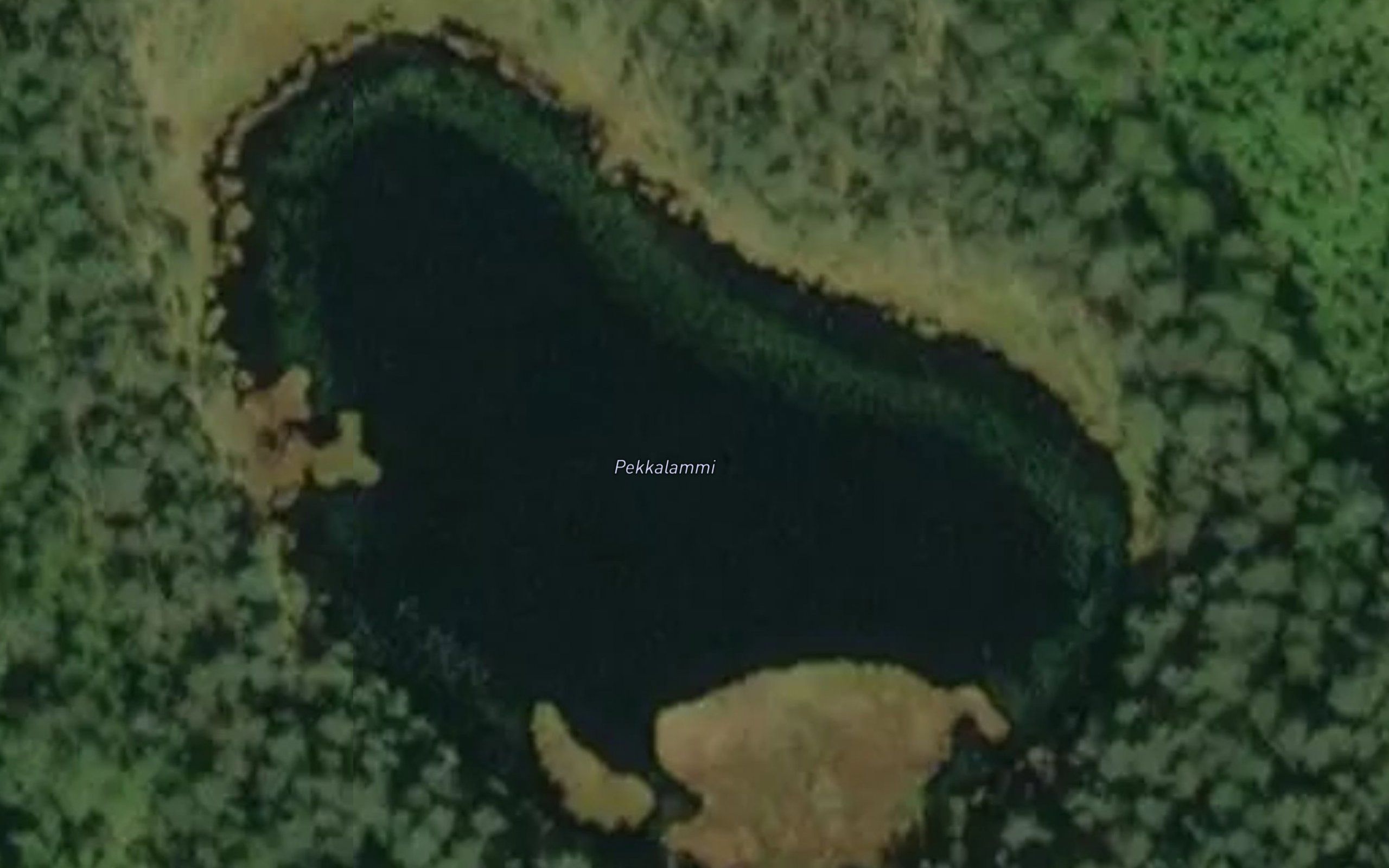 Pekkalammi
