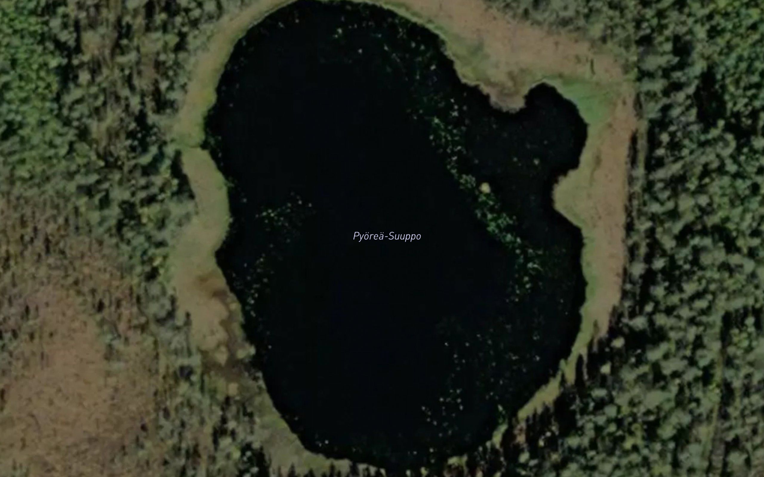 Pyorea-Suuppo