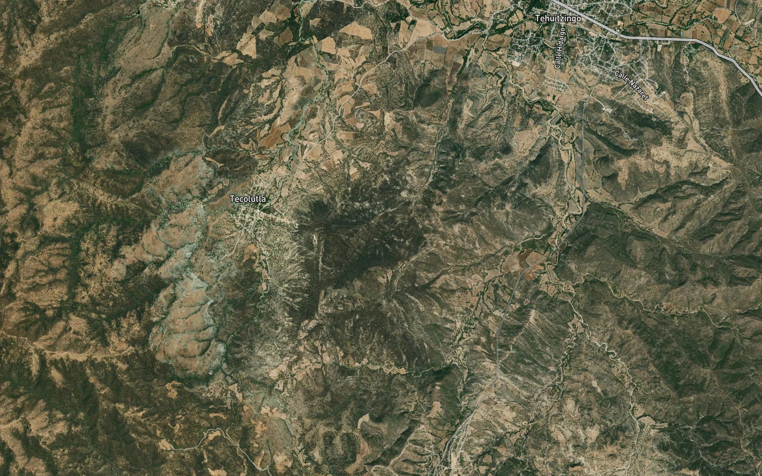 Atopolteca