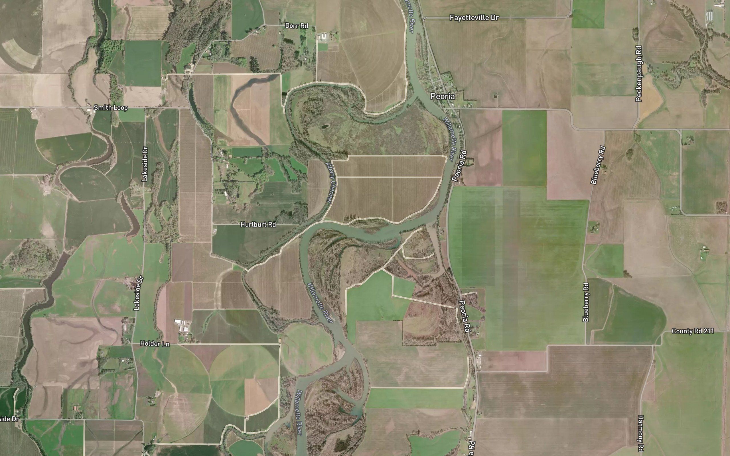 Snag Boat Bend