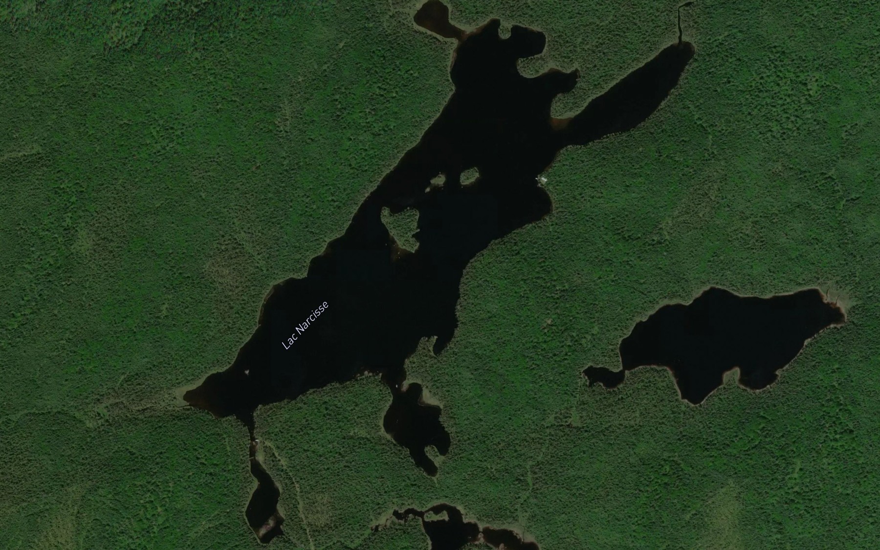 Satellite map of the Lac Narcisse