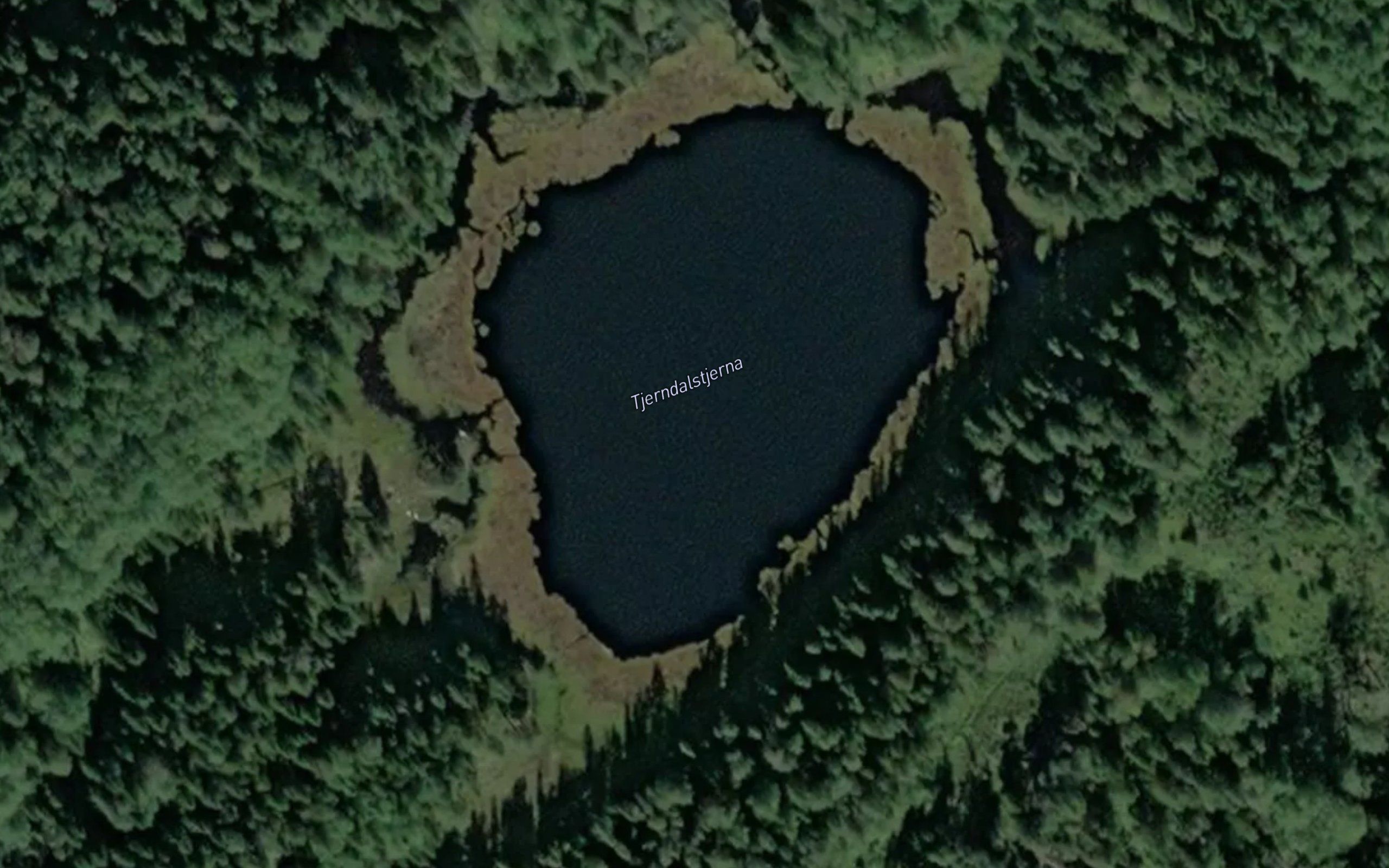 Tjerndalstjerna
