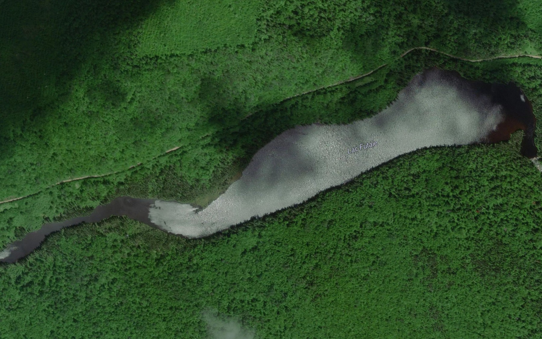 Satellite map of the Lac Futaie