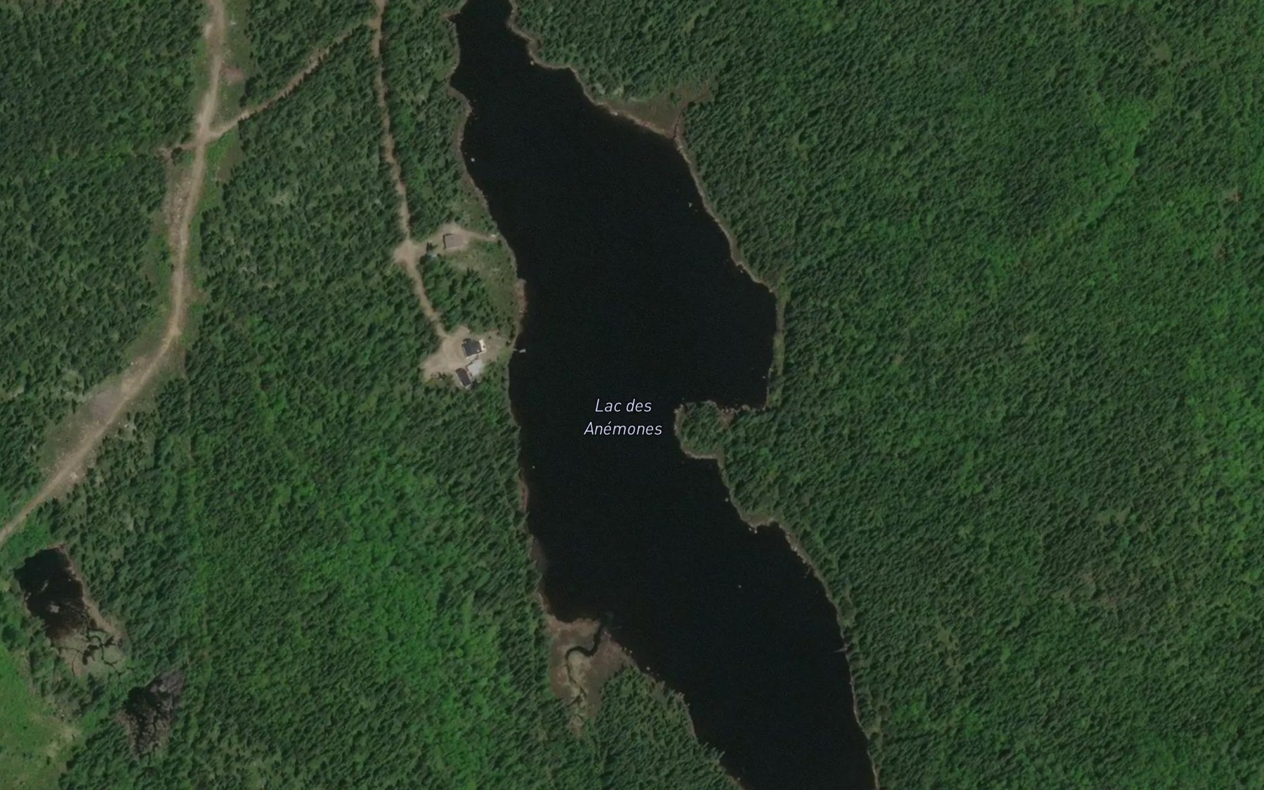 Satellite map of the Lac des Anemones