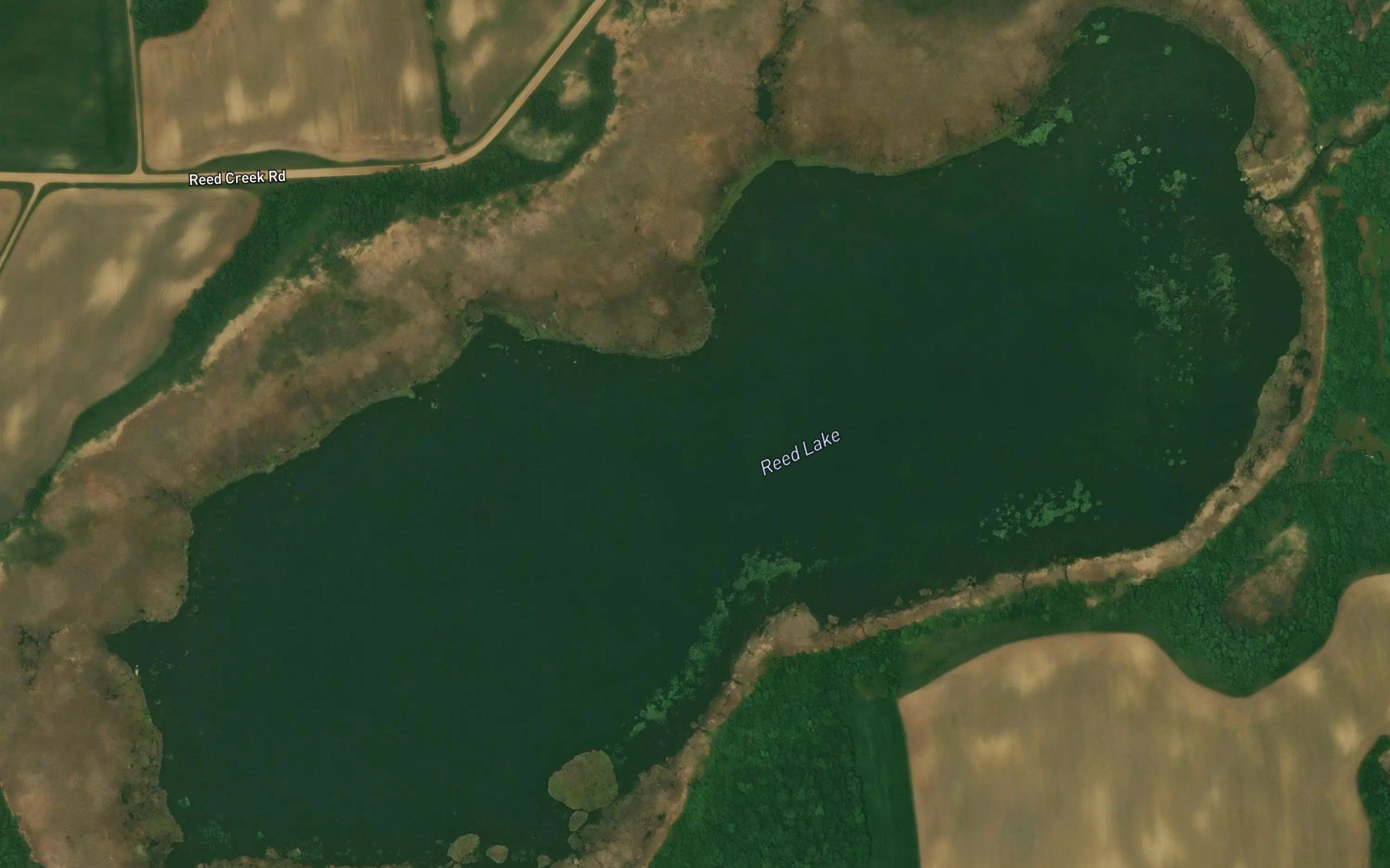 Reed Lake