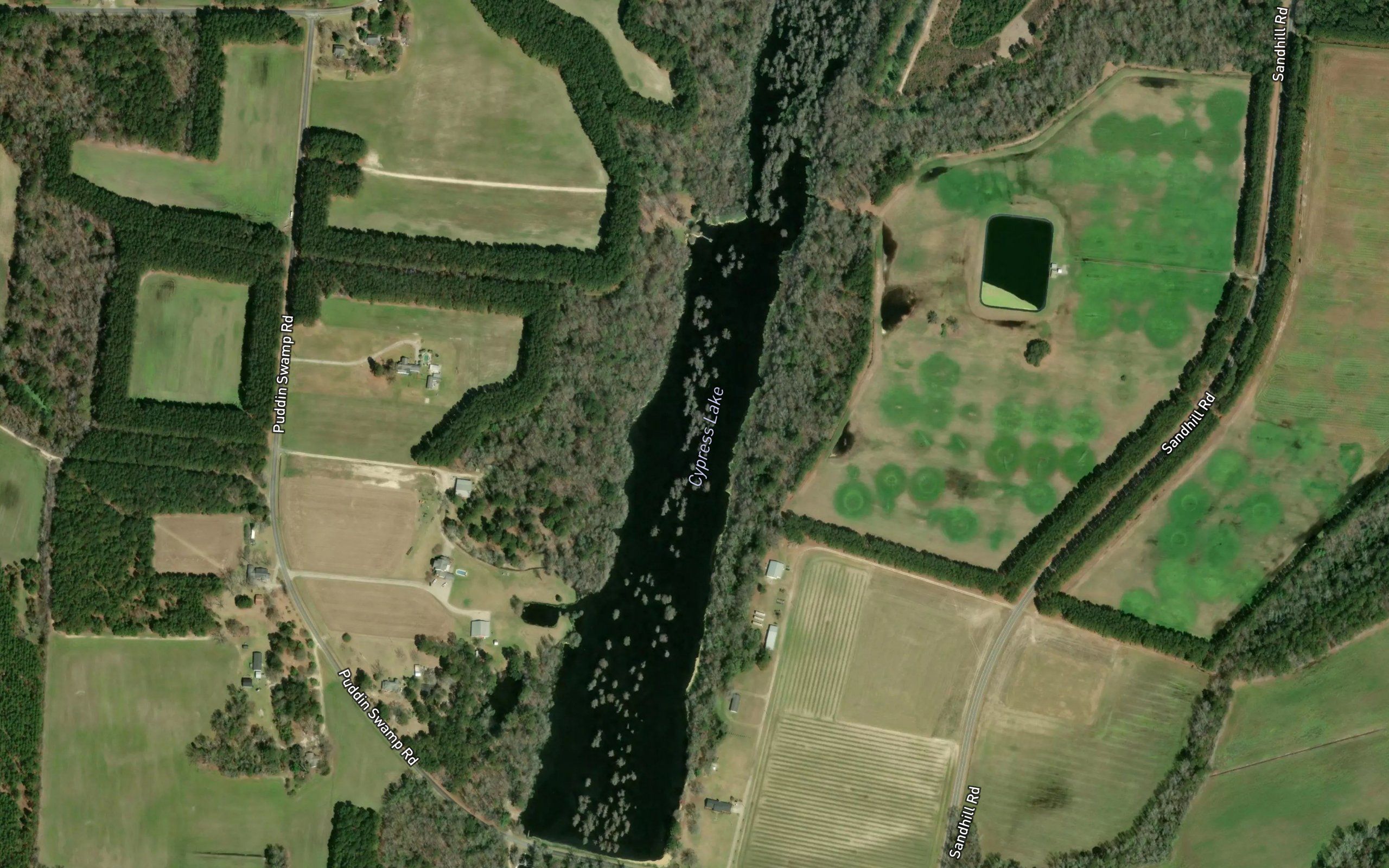 Cypress Lake