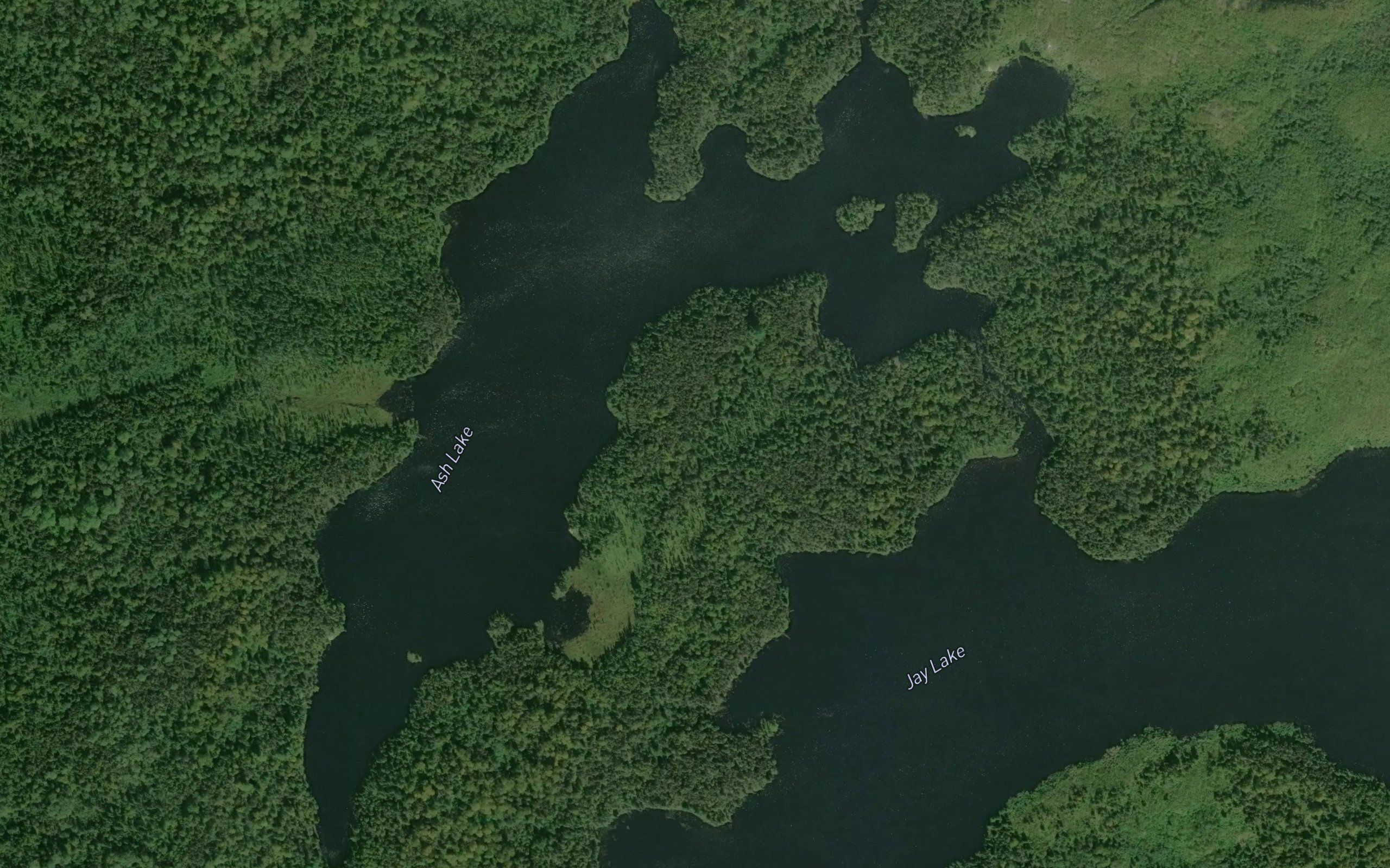 Ash Lake