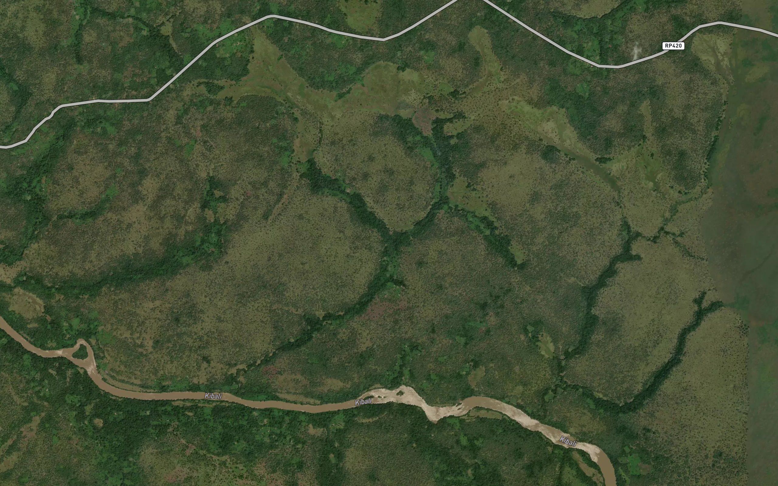 Galuya