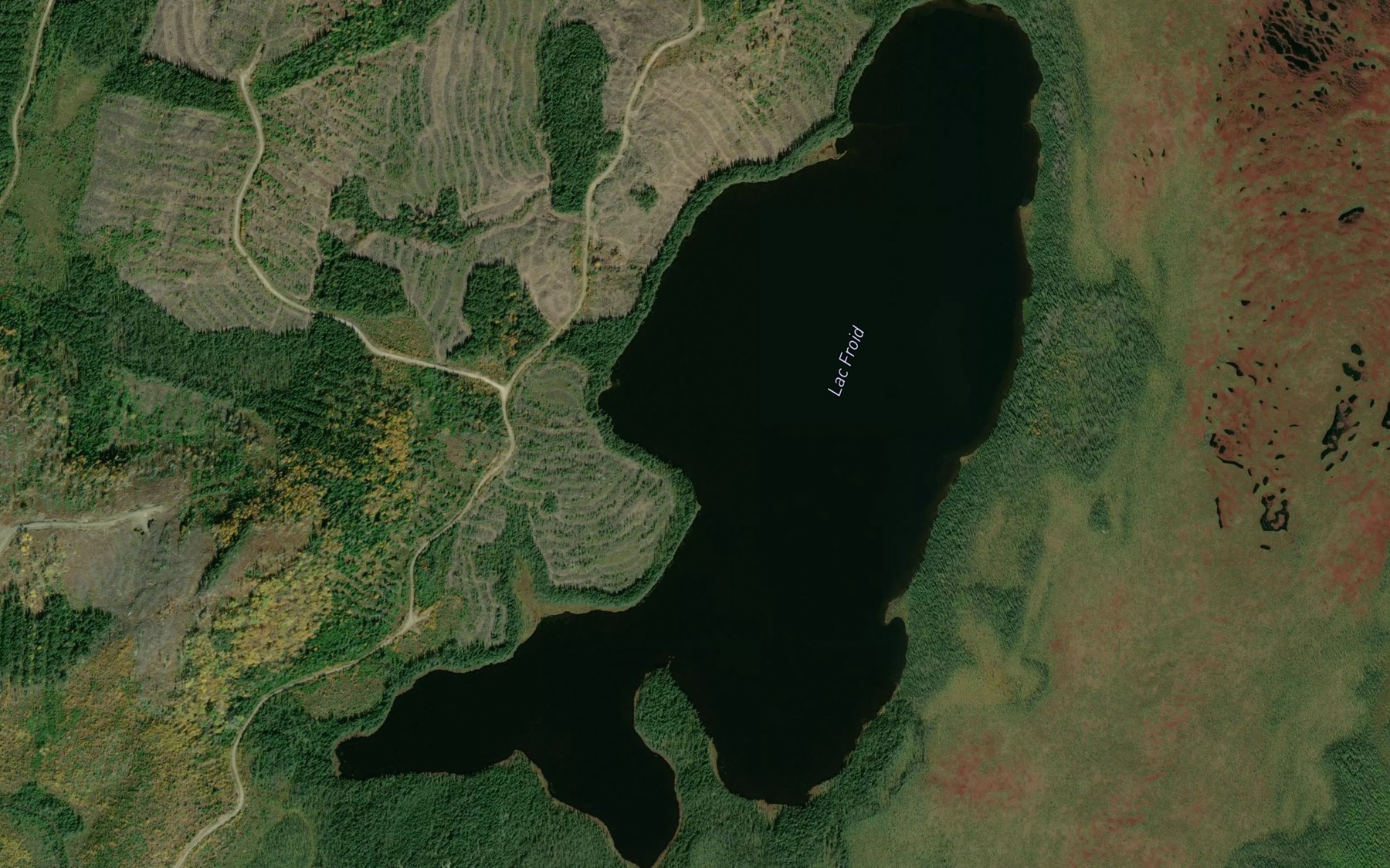 Satellite map of the Lac Froid