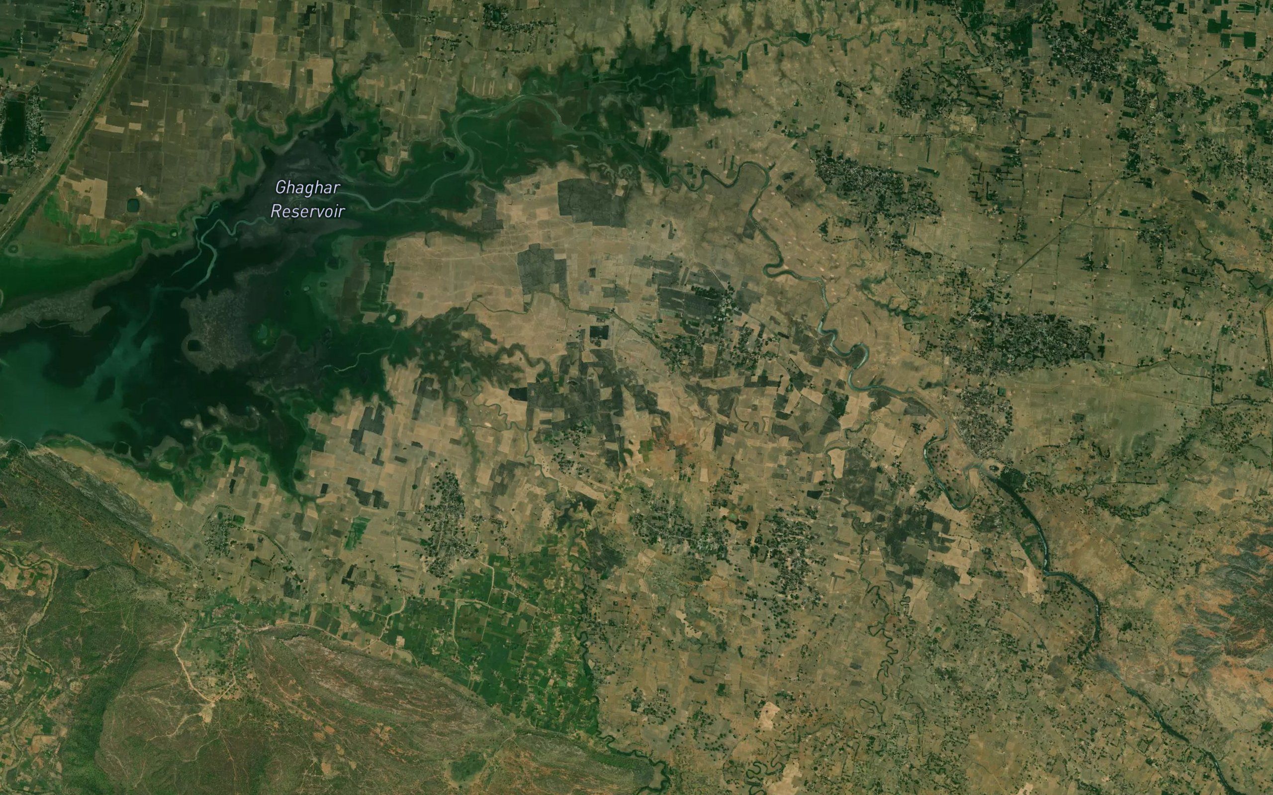 Kasaraia Nala