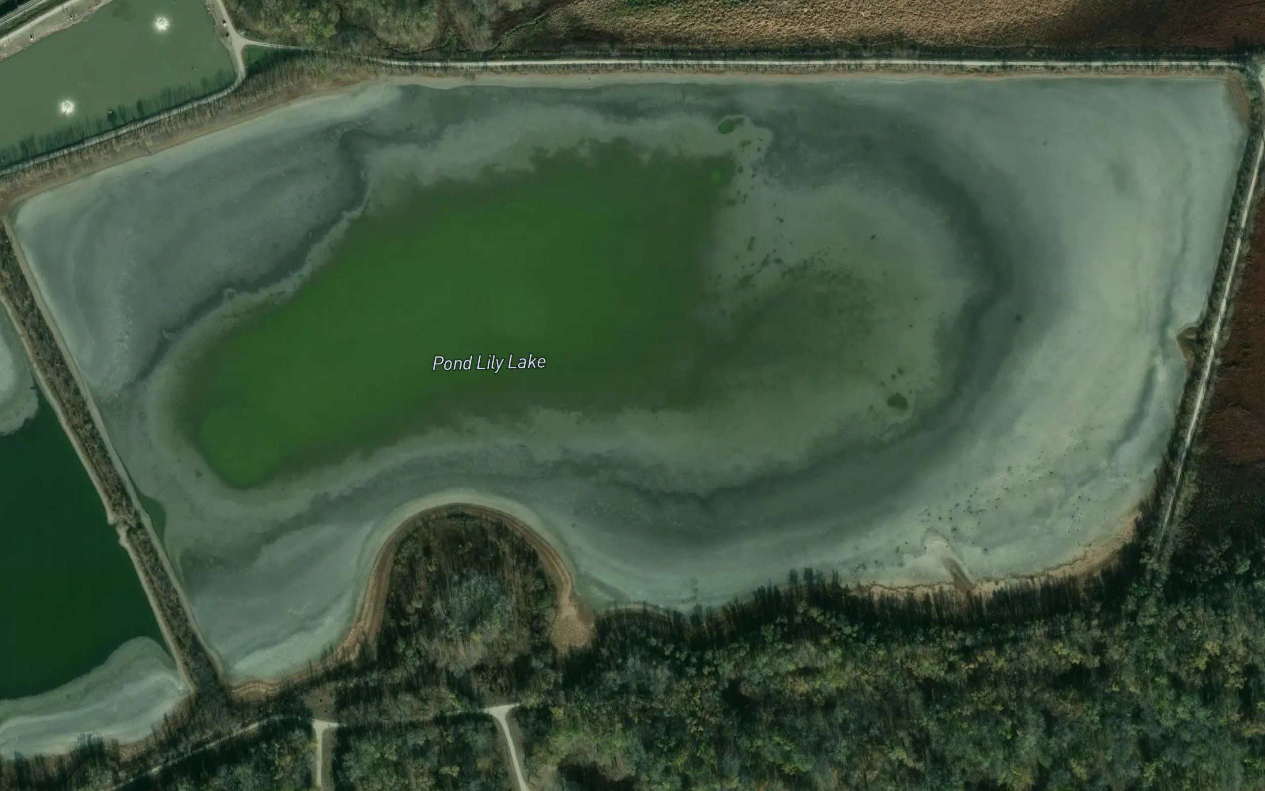 Pond Lily Lake